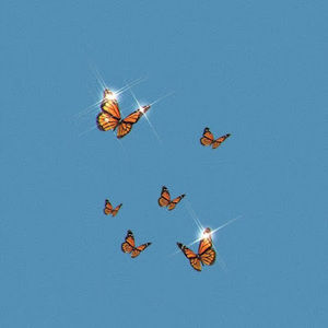 Meet your Posher, Lisbeth